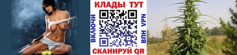 Наркота Кинешма ГАШИШ блэк спрут онион КОКАИН Альфа ПВП Меф мяу мяу Марихуана