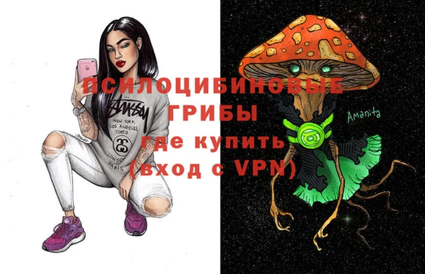 молекула духа Алексеевка