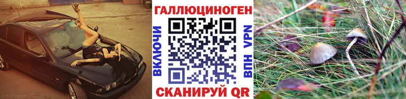 Псилоцибиновые грибы Psilocybe Кинешма