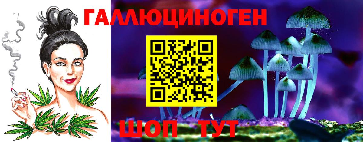 Кинешма  цены   Вход с VPN  Галлюциногенные грибы мицелий  Псилоцибиновые грибы прущие грибы 
