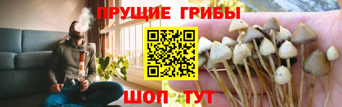Галлюциногенные грибы Cubensis Кинешма